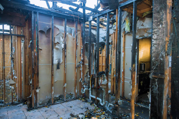 Professional Soot Cleanup technician working in Cambridge, MD
